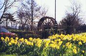 The iconic Mill Wheel