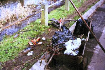 A sample gathering of river pickings