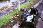 A sample gathering of river pickings