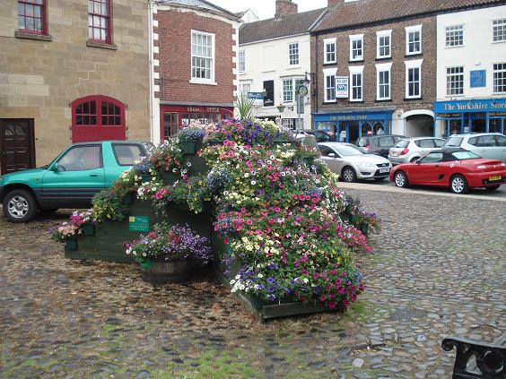 The plants have taken. Picture taken on 09/08/2010.